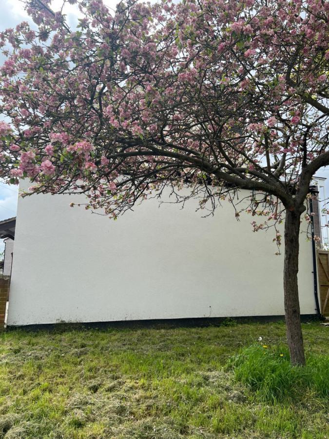 Hotel Wisdom Care: The Orpington Cutie Exterior foto
